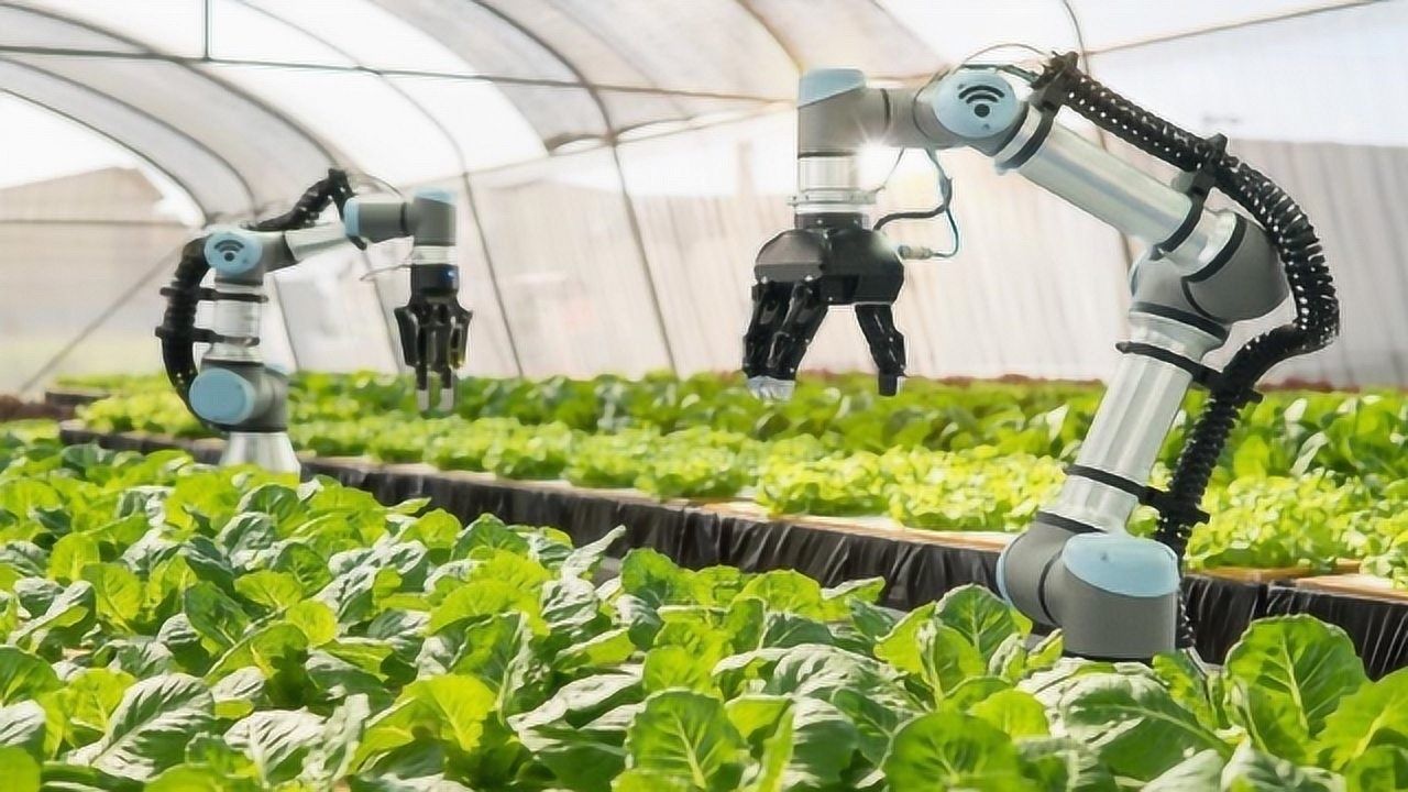 开创智慧农业时代：工业交换机助力农业自动化与远程监控